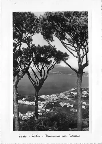 BG3174 porto dischia panorama con vesuvio CPSM 15x9,5cm italy