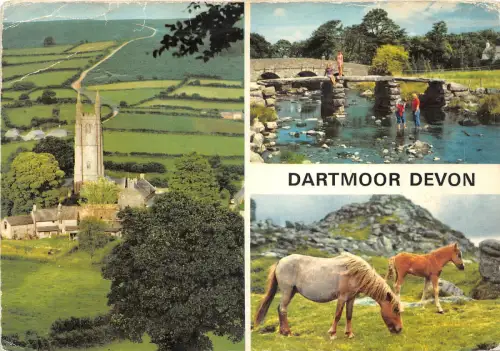 uk45033 dartmoor devon uk