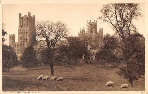 uk22512 ely cathedral from south real photo uk
