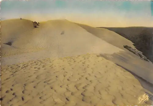 BR52274 Pilat Plage Bassin d arcachon les plus hautes dunes de sab France