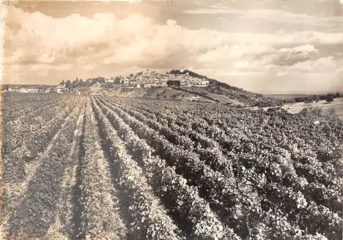 BR20604 Sancerre domaine de la moussiere France