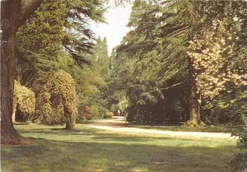 uk46348 main drive westonbirt arboretum uk