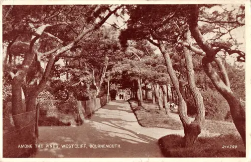 uk569 among the pines westcliff bournemouth real photo uk