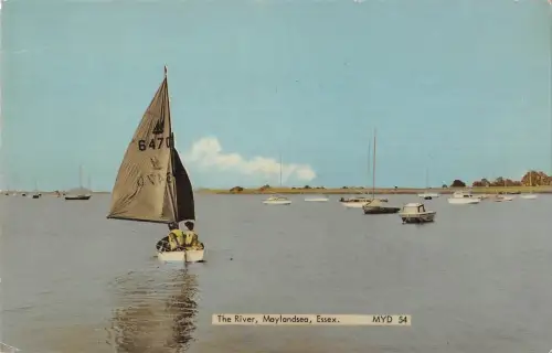 uk11386 maylandesa essex the river uk