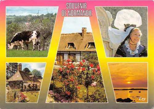 BR25653 La Normandie Pittoresque Kuh Vaches 2 Scans Frankreich