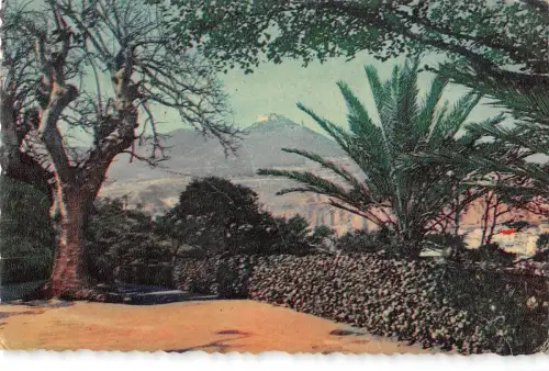 BT14632 Promenade l Etang Oran Algerien