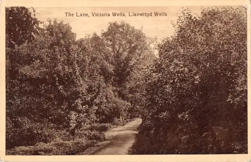 uk18372 the lane victoria wells llanwrtyd wales uk