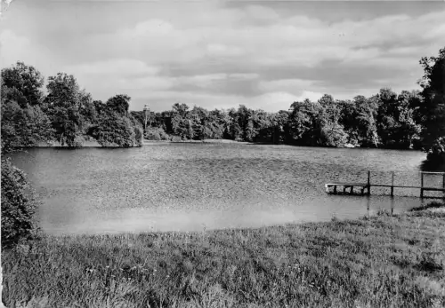 BG16169 traptow berlin germany CPSM 14,5x9cm