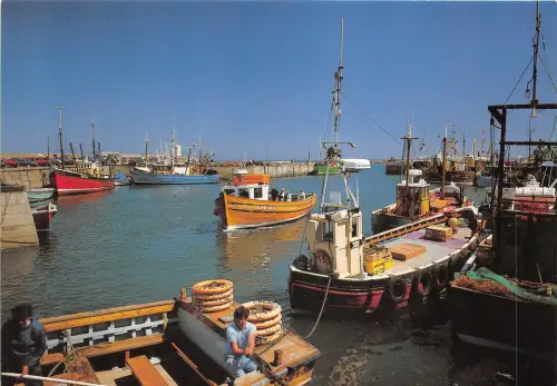 uk50589 seahouses harbour northumberland uk