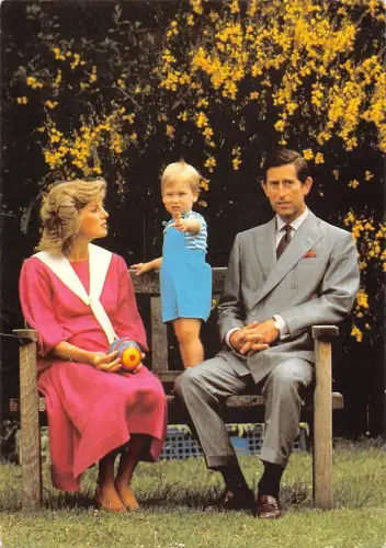 B99713 prince william prince and princess of wales Charles royalty uk