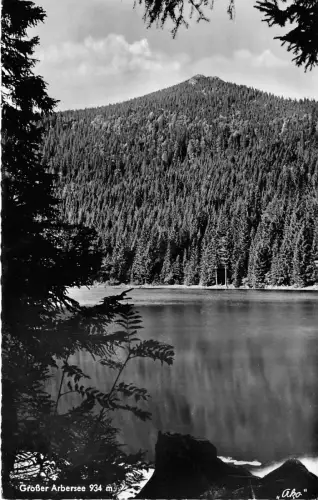 BG23508 bayer wald gr arbersee germany CPSM 14x9cm