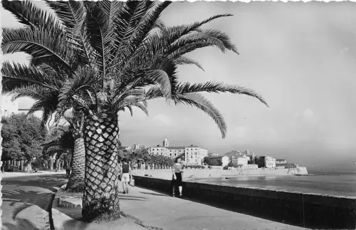 BR27668 Boulevard Albert I Ajaccio Frankreich