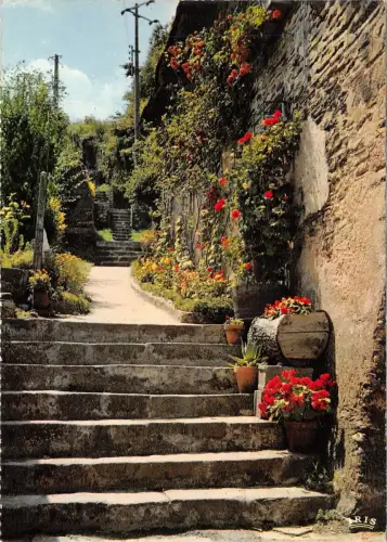 BR43244 Vieil Rolltreppe fleuri Rochefort en terre France
