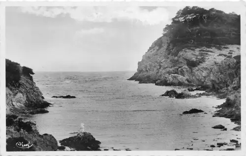 BR9308 Ile de porquerolles Brianconet france