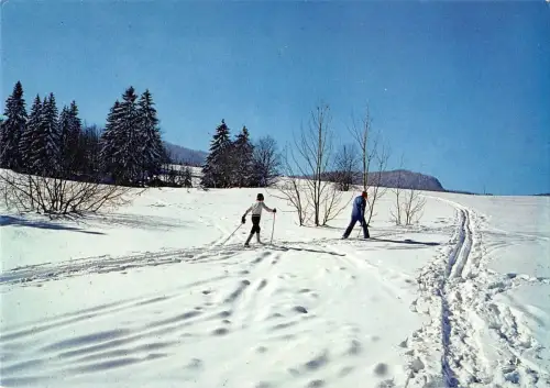 BT12559 Ski de fond sport