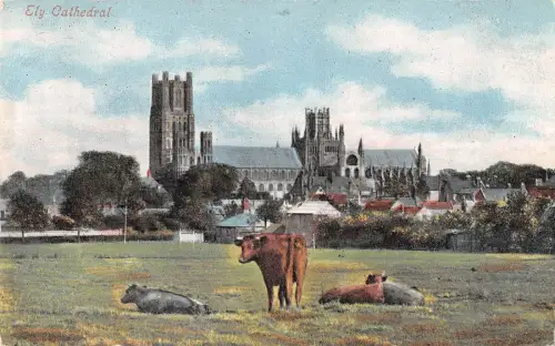 uk22512 ely cathedral uk