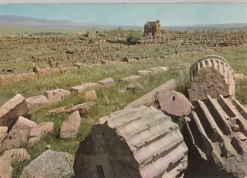BF18631 algeria timgad les ruines romaines front/back image