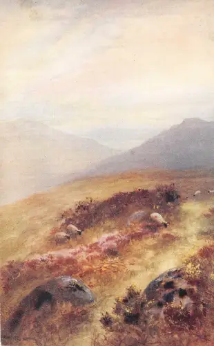 uk42406 exmoor hills uk