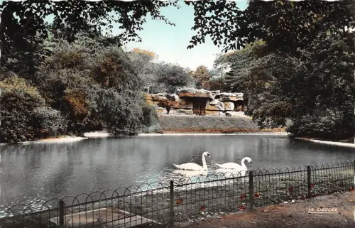 BR27399 Cambrai Jardin Public Cygnes Schwan Frankreich