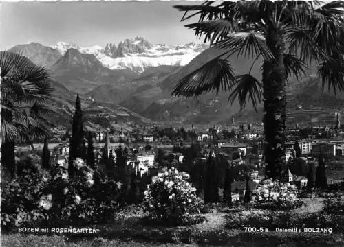 BG30884 Bozen Bozen Dolomiti Rosengarten Italien CPSM 14,5x10cm