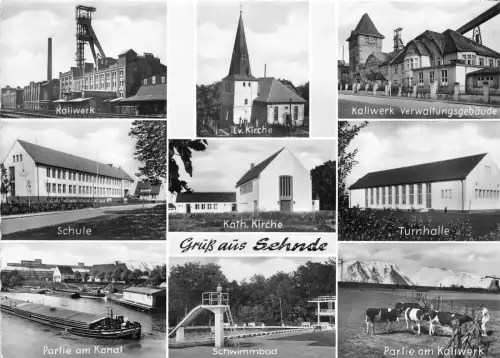 BG22187 gruss aus sehnde cow vaches germany CPSM 14,5x9cm