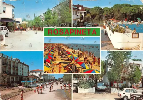 B33513 rosapineta italy