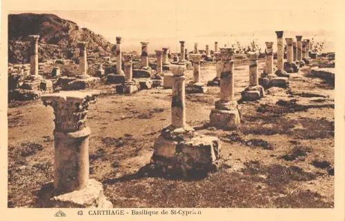 BR46089 Basilique de St Cyprien Karthago Tunesien