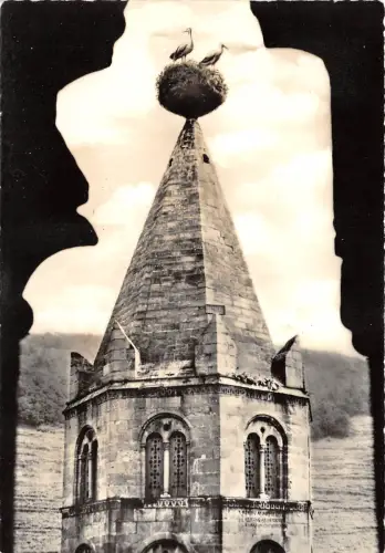 BR5901 Cigognes d Alsace sur l eglise St Leger france