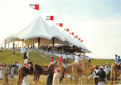 Lot252 camel racing united arab emirates