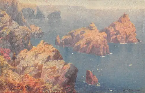 uk25385 kynance cove from cliffs uk