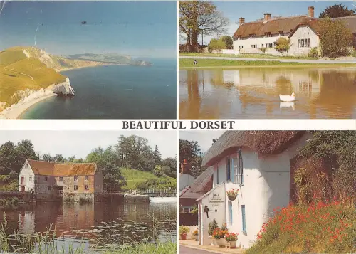 uk34610 schönes Dorset UK
