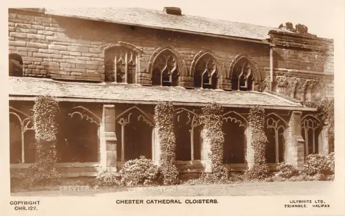 BR80818 Kreuzgang Chester Kathedrale Echtfoto UK