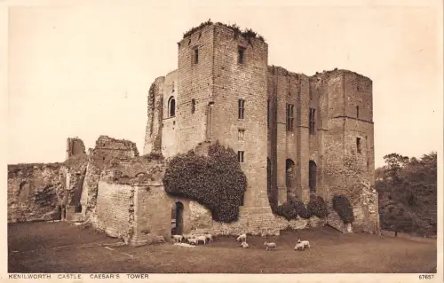 uk2289 kenilworth castle caesar's tower warwickshire sheep real photo uk