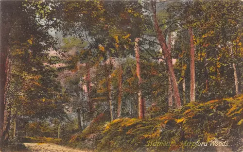 uk27179 harpford woods sidmouth uk