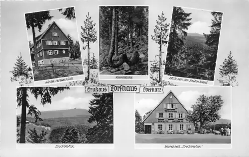 BG22939 GROSS SKI VERLEIH BRAUNLAGE SHELL HOTEL TORFHAUS GERMANY CPSM 14x9cm