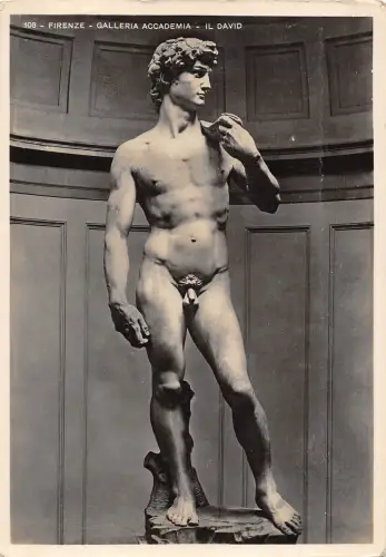 BR47045 Firenze galleria accademia il david Skulpturen Skulptur