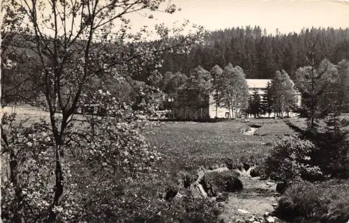 BG7599 hohenluftkurort grunbach vogtl erholungsheim drucker germany CPSM 14x9cm