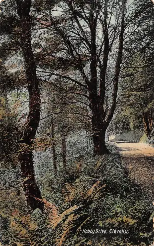 uk24906 hobby drive clovelly uk