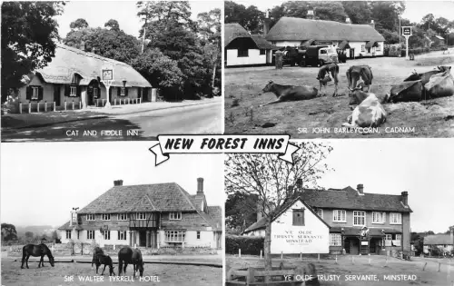 uk40499 new forest inns real photo uk