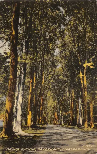 uk51426 grand avenue savernake marlborough uk