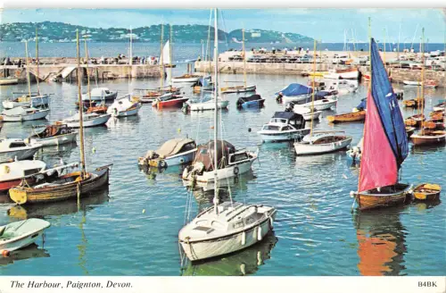 uk9091 the harbour paignton devon uk