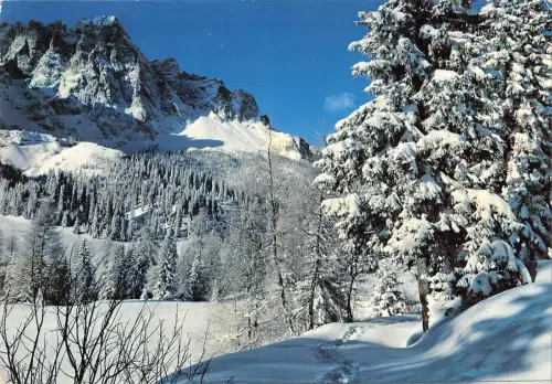 BR86284 dolomiti paesaggio invernale italy
