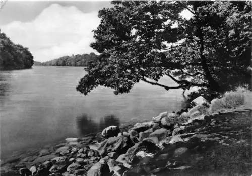 BG16069 FELDBERG MECKL AM SCHMALEN LUZIN GERMANY CPSM 14,5x9cm