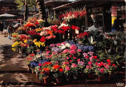 BR6975 Saint Etienne le marche aux fleurs france