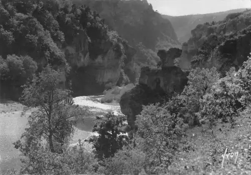 BT12637 Gorges du tarn la malene rocher du chamougnon Frankreich