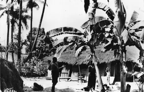 BR46825 Afrique Noire un coin de village et bananiers Senegal Senegal