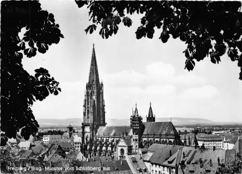 BR19563 Freiburg brsg münster vom schlossberg germany
