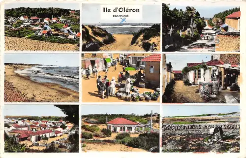 BR29311 Ile d Oleron Vues de Domino france