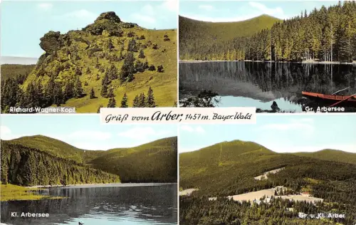 BG7631 besuchen auch sie das schöne arbergebiet bayer wald germany CPSM 14x9cm