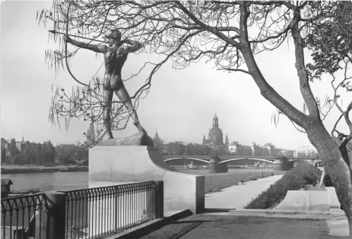BG1765 Blick vom neustader Elbufer Dresden CPSM 14x9,5cm Deutschland